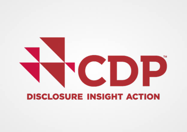 Logo CDP