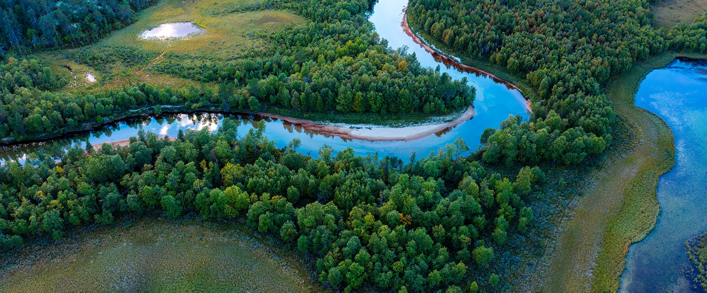 Paisagem com árvores sendo contornadas por rio