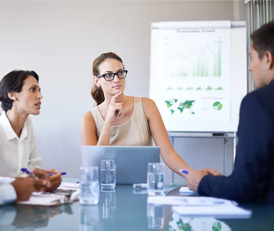 Pessoas em reunião de trabalho